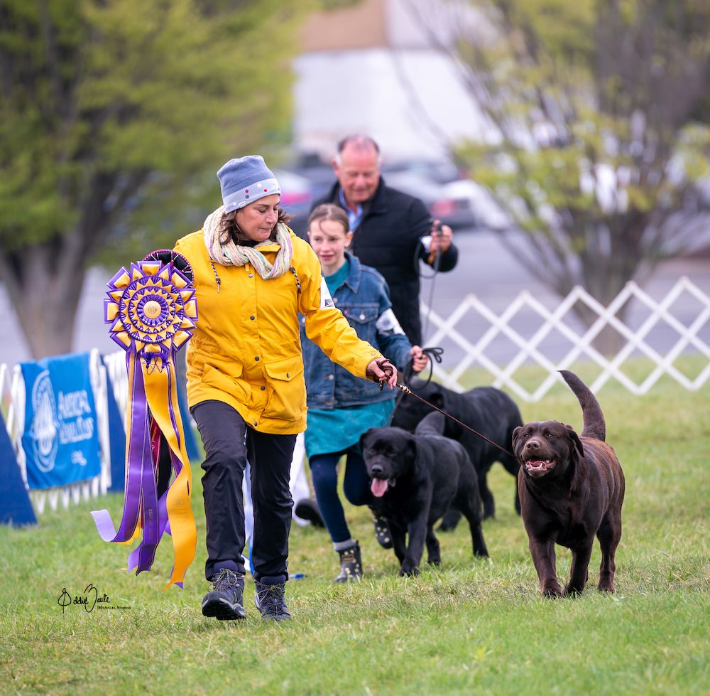 Springing Into Potomac